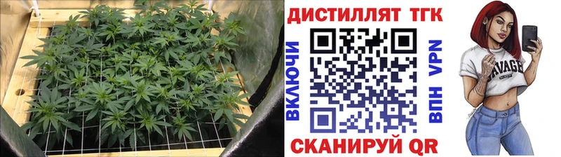 Дистиллят ТГК вейп с тгк  hydra онион  Алейск 