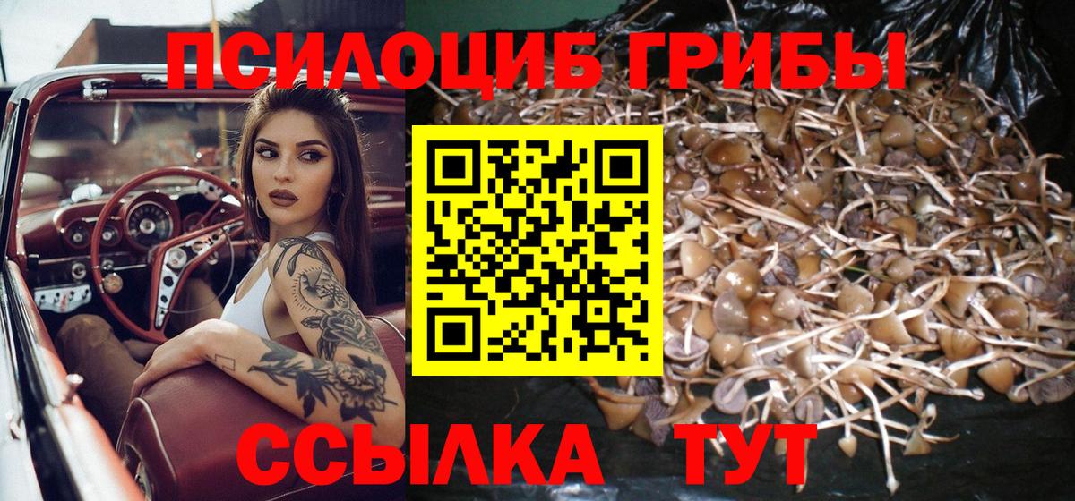 Псилоцибиновые грибы GOLDEN TEACHER  Вход с VPN  Алейск 