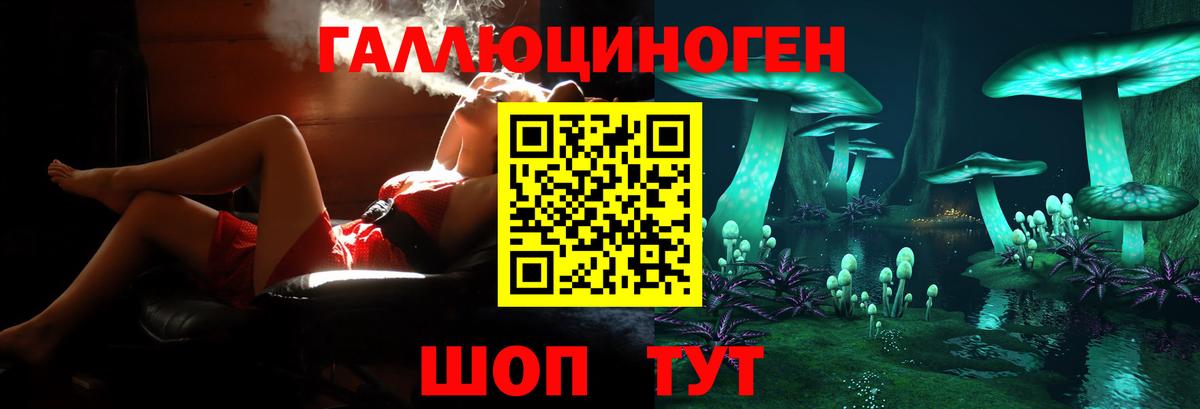 Галлюциногенные грибы Psilocybine cubensis Алейск