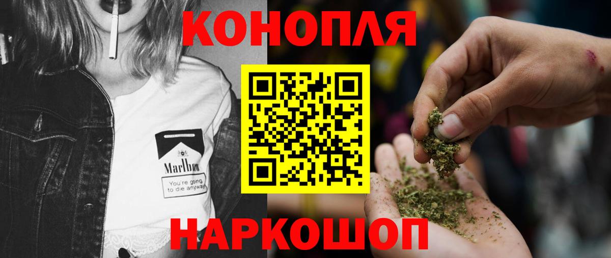 Шишки марихуана план  Вход с VPN  Шишки марихуана White Widow  Алейск  Бошки Шишки LSD WEED 